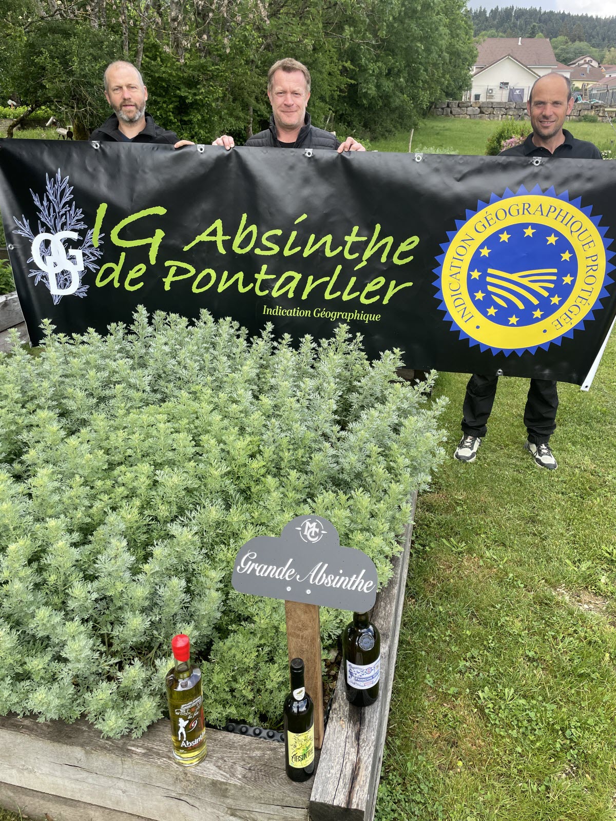 L'Absinthe de Pontarlier veut fonder une filière