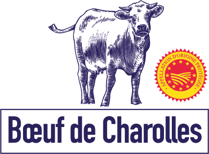 picto bleu Le boeuf de charolles