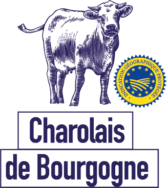 picto bleu Le boeuf charolais