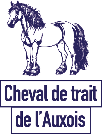 picto Le cheval Auxois