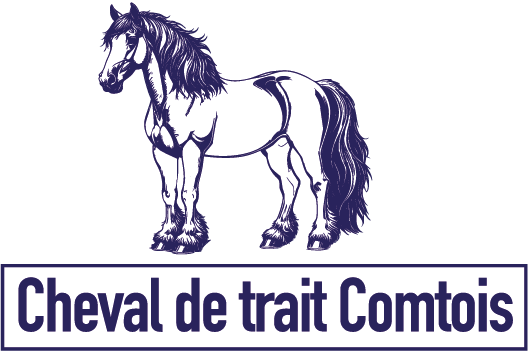 picto bleu Le Cheval Comtois