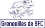 Les cuisses de grenouilles
