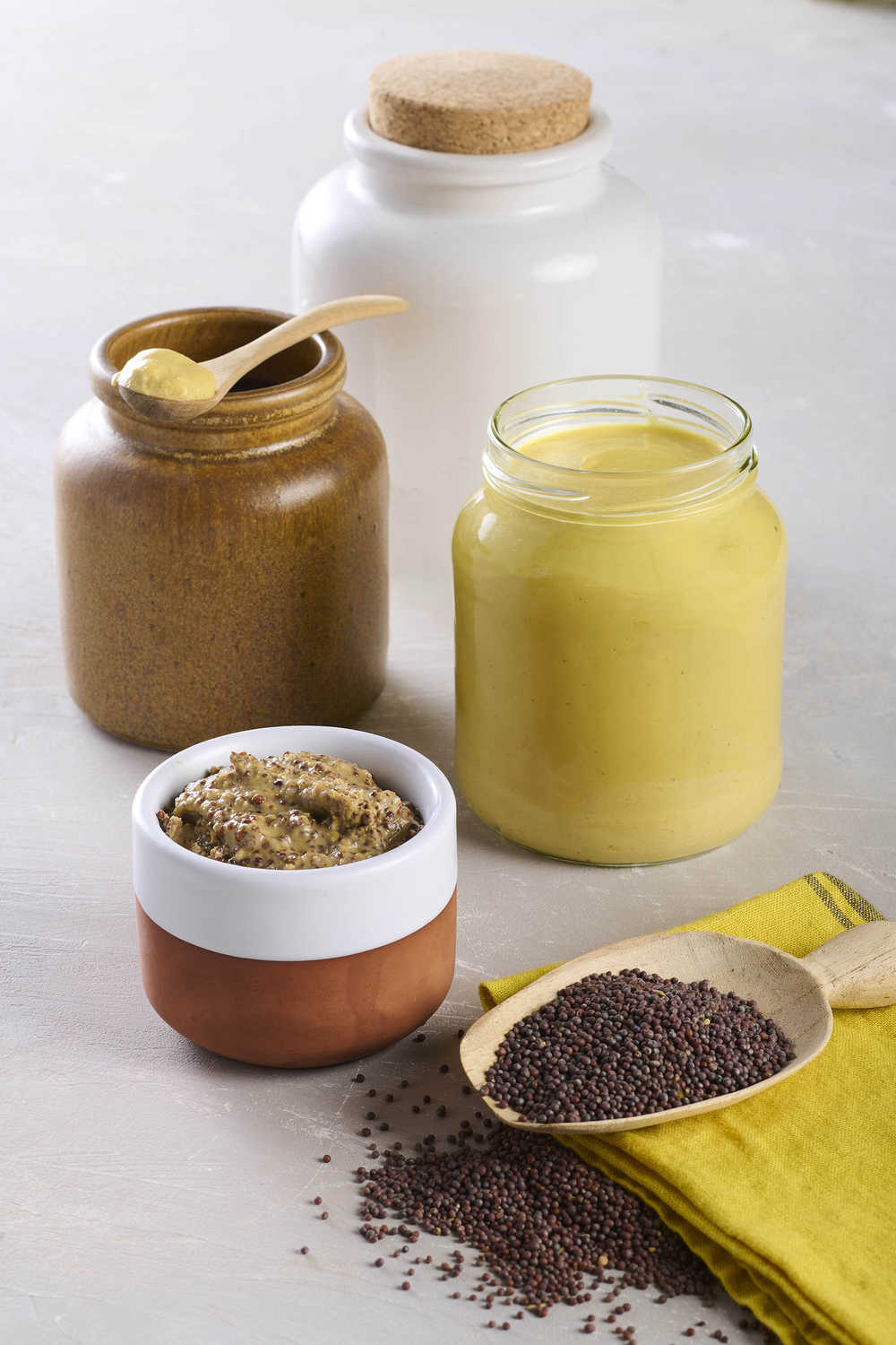 La moutarde de Bourgogne, Une accompagnatrice de choc