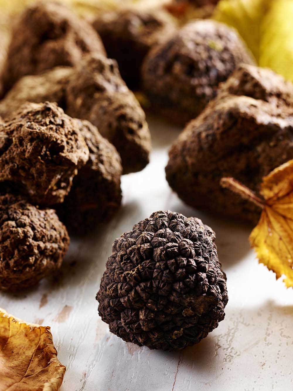 La Truffe de Bourgogne, Un produit européen par excellence