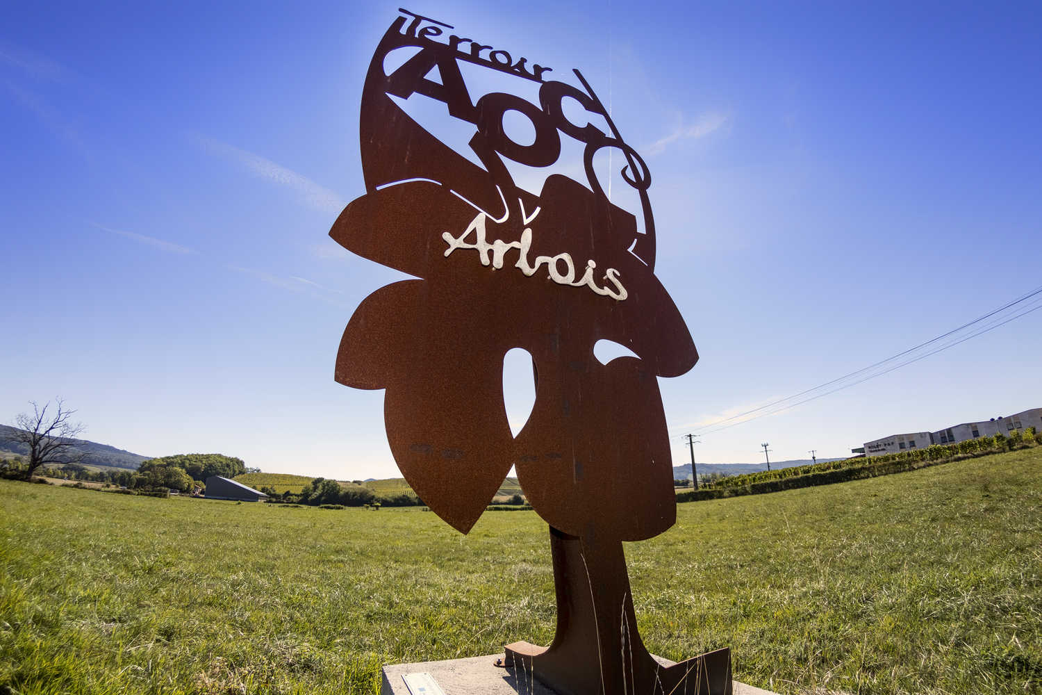 L'Arbois, Le plus imposant vignoble du département