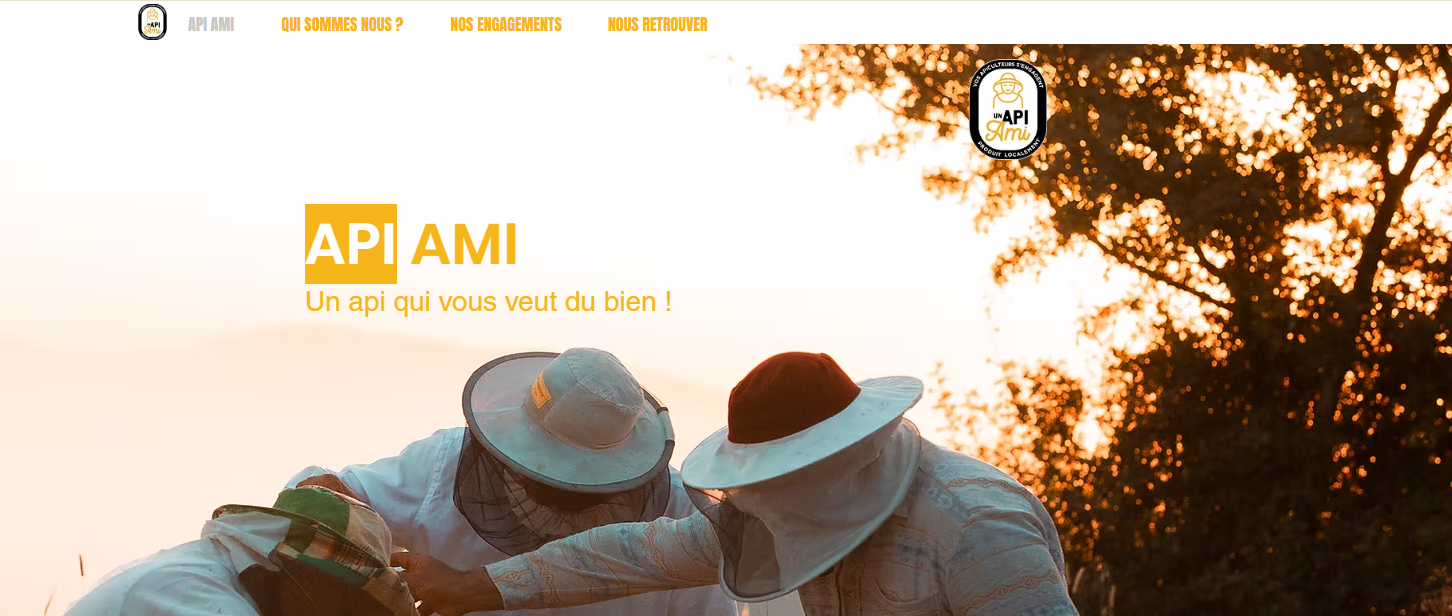 Création & animation site web